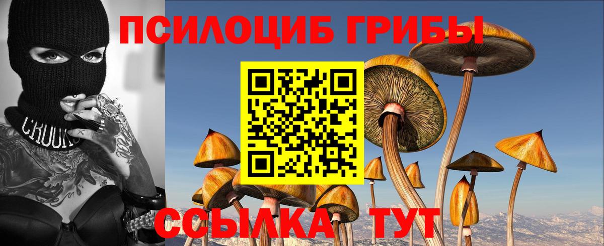 Галлюциногенные грибы MAGIC MUSHROOMS Дедовск
