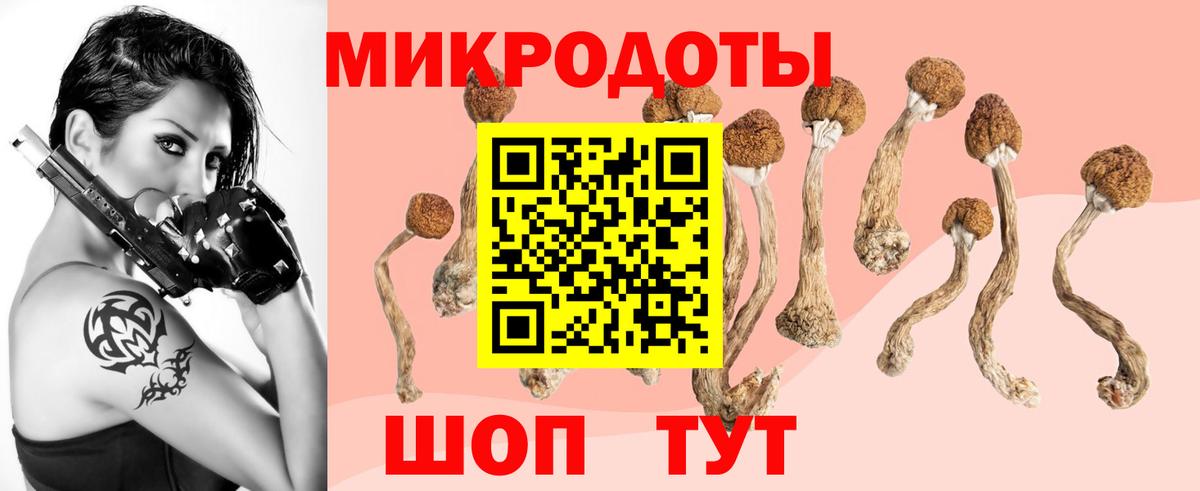 Псилоцибиновые грибы Magic Shrooms  Вход с VPN  Дедовск  Псилоцибиновые грибы Magic Shrooms 
